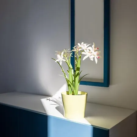 Apartamento Primopiano - Fusina Milão